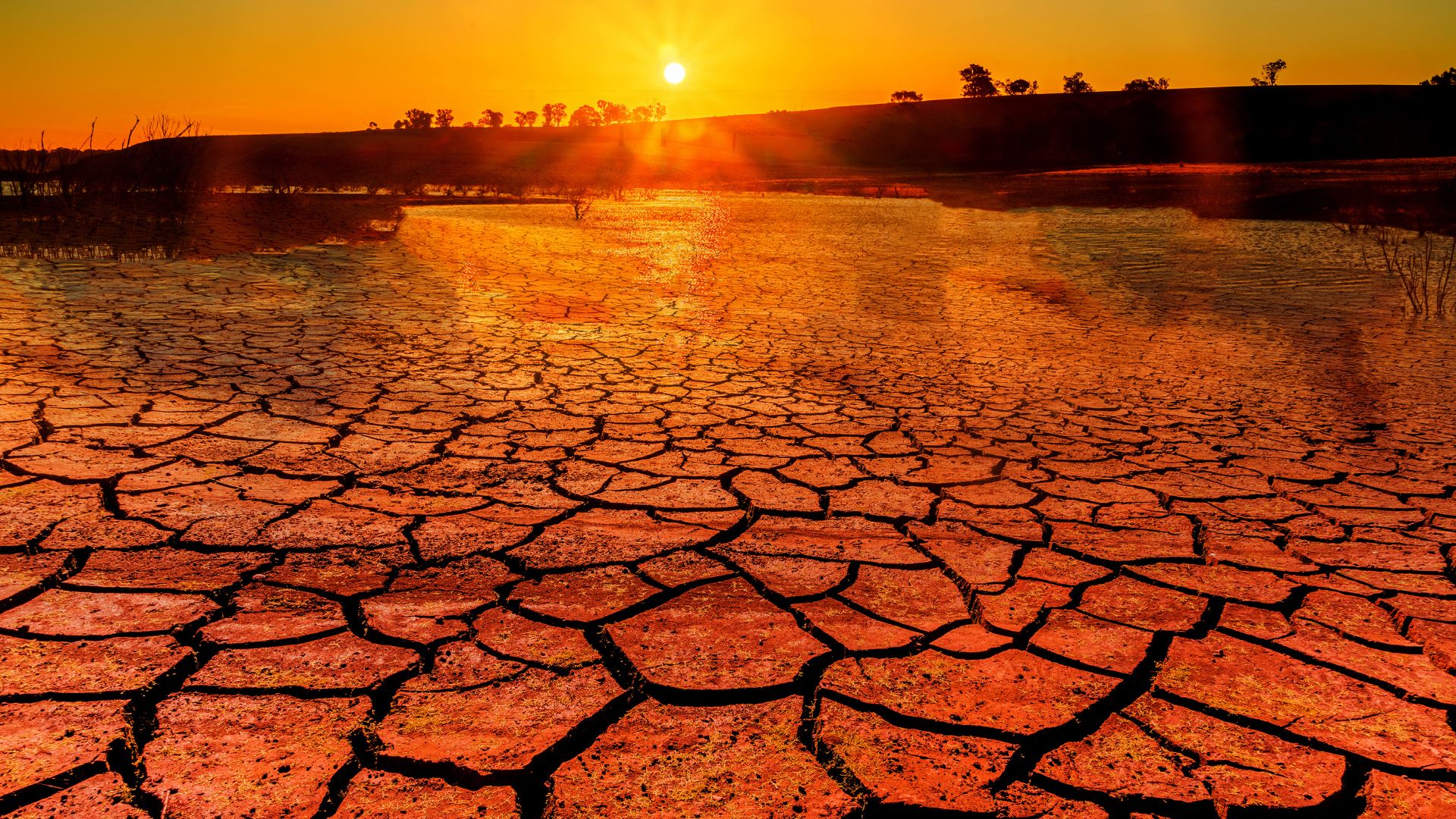 Climate World Meteorological Organization
